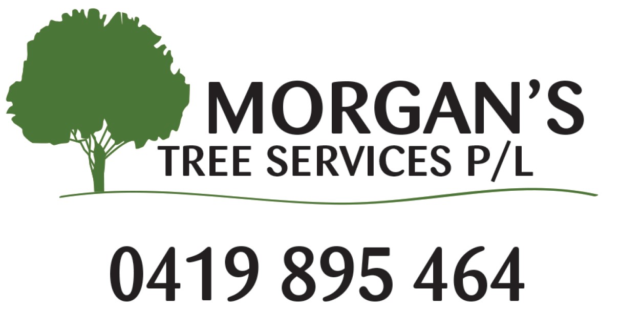 Morgan's Tree Services